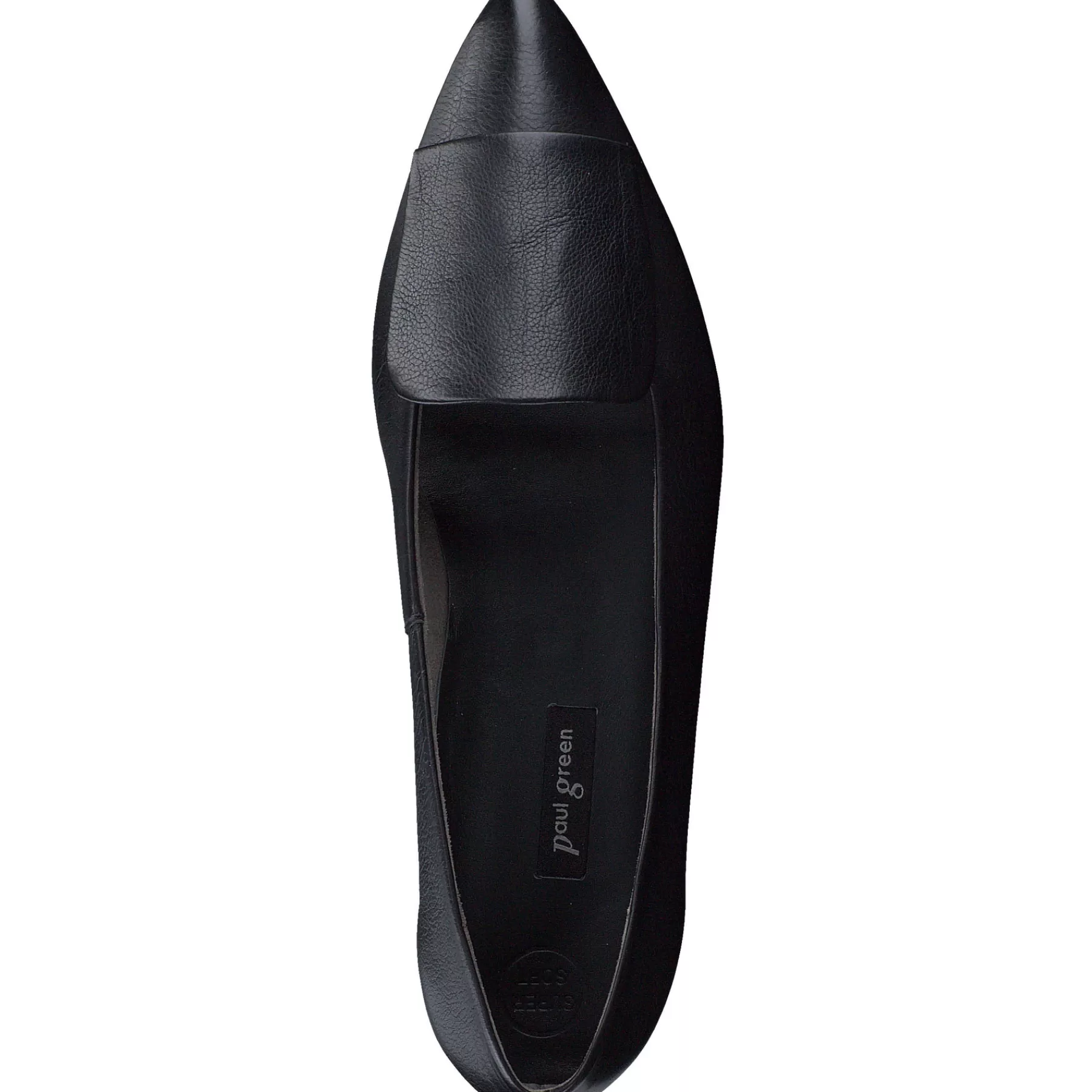 teddy_flat_493196.webp Paul Green Teddy Flat